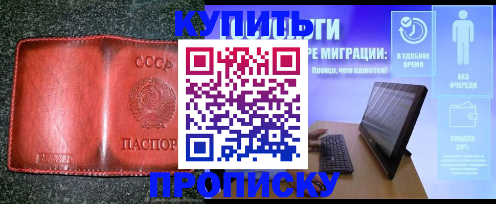 найти адрес прописки в Заринске